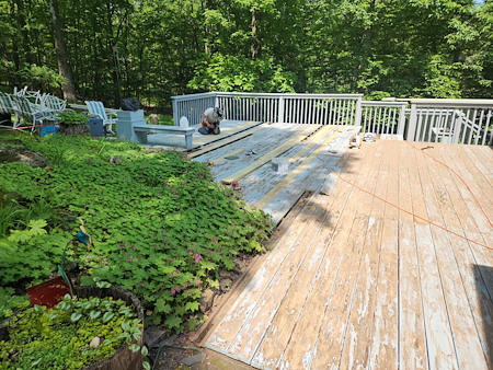 Hardwood deck restoration when to restore vs replace boards